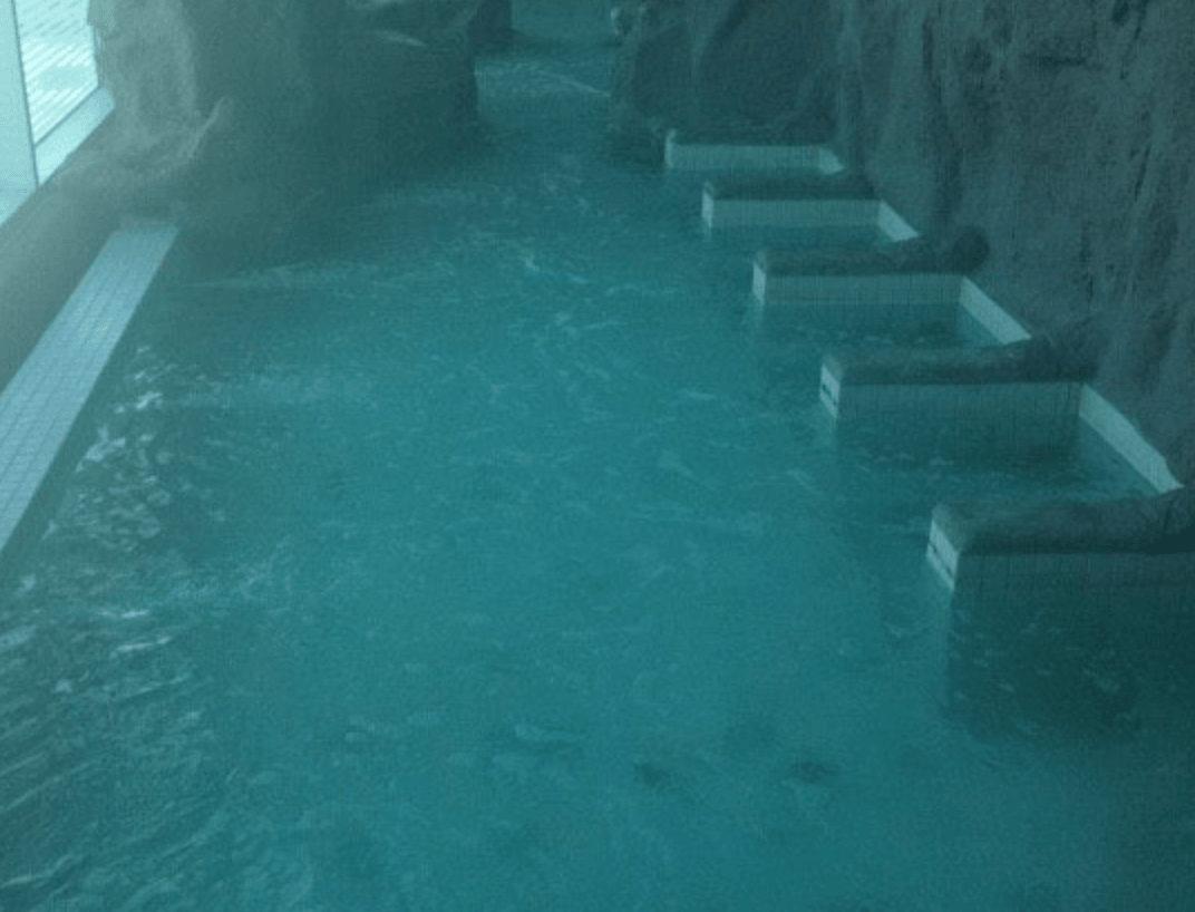 용평 스프링스 스파 1